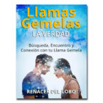 libro de llamas gemelas