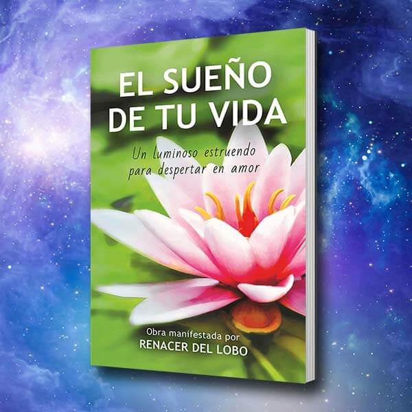 libro el sueño de tu vida